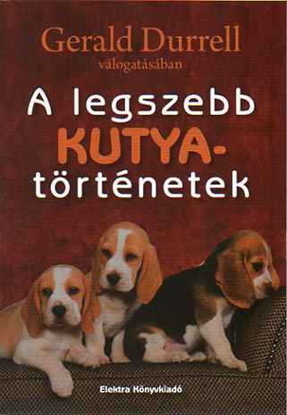 A legszebb kutya történetek