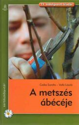 A metszés ábécéje