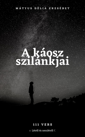 Mátyus Délia - A káosz szilánkjai