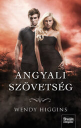 Wendy Higgins - Angyali szövetség