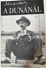 József Attila - A dunánál