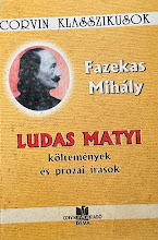 Fazekas Mihály - Ludas Matyi