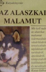 Az alaszkai malamut