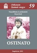Boros Ernő - Otthonom Szatmár megye