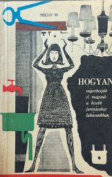 Millo M - Hogyan végezhetjük el magunk a kisebb javításokat lakásunkban