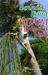 Bernád Ilona - Útjaim A Gyógyítás Körül