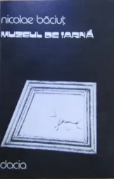 Nicolae Baciut - Muzeul de iarna