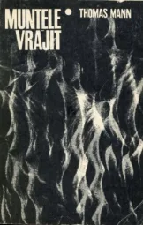 Thomas Mann - Muntele vrajit